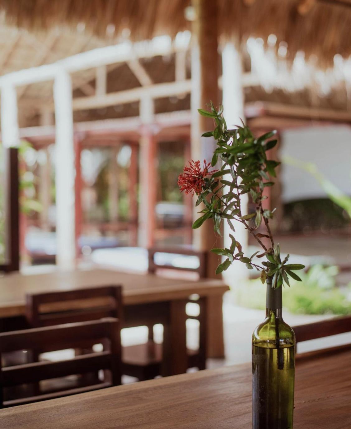 Hotel Ingigante ริวาส ภายนอก รูปภาพ